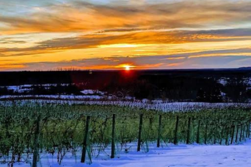 Shot of the sun setting over northern Michigan.