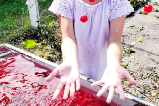 A Taste of Traverse City, the Cherry Capital of the World