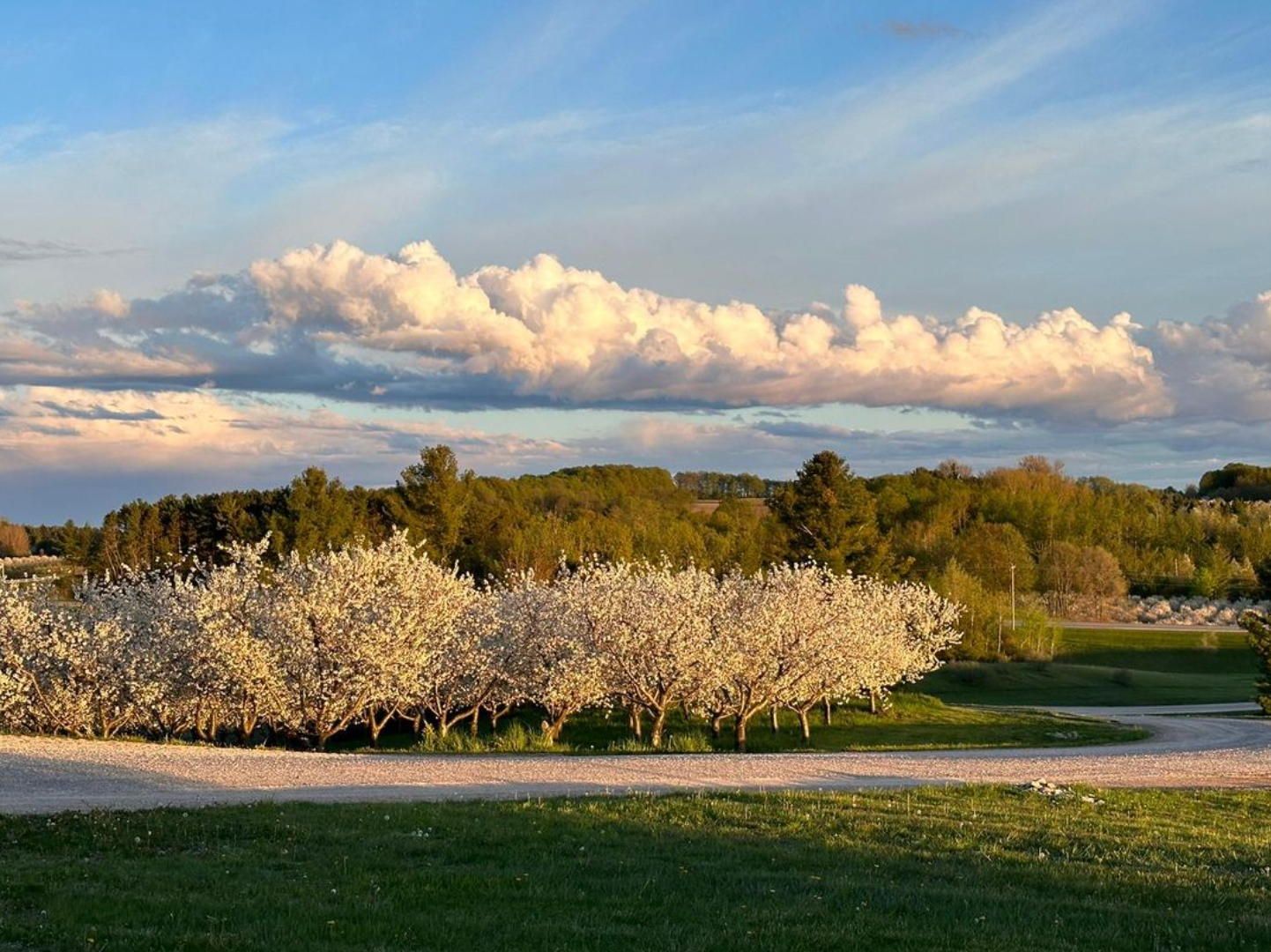 Summer Adventures in Leelanau Peninsula