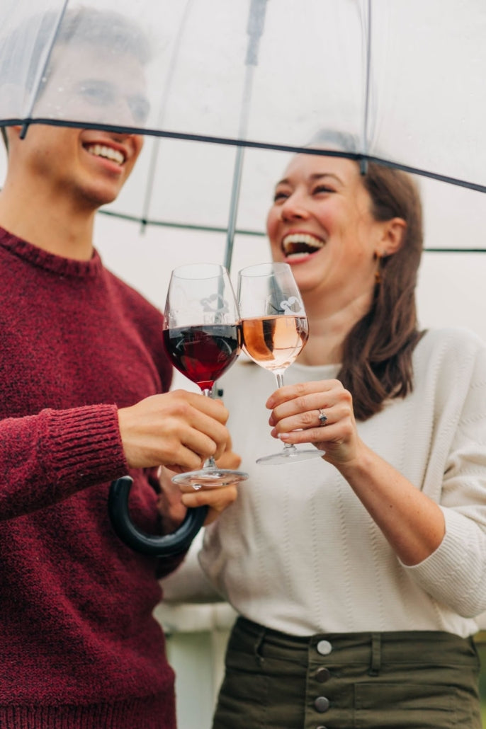 Every Glass Holds a Story: The Life Cycle of Wine Vineyards