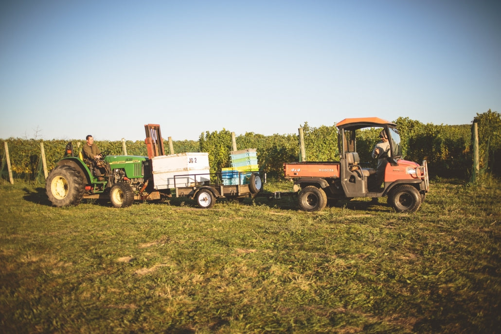 Rove Estate: Our 5-Year Anniversary!