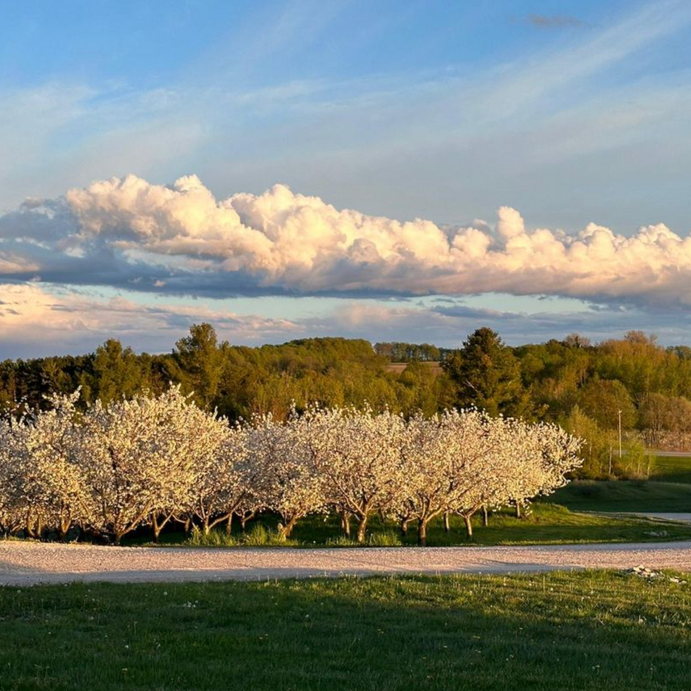 Summer Adventures in Leelanau Peninsula