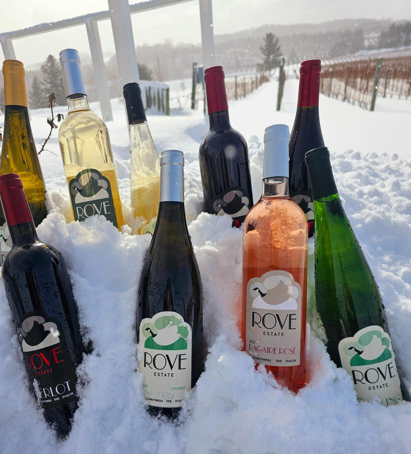 A Journey Through Wine Holidays to Celebrate Every Season