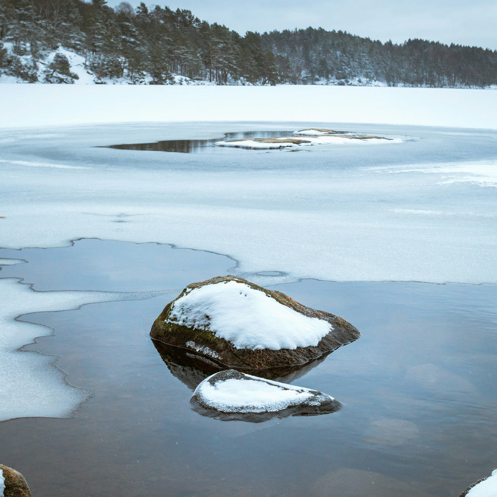 Winter Adventures in Michigan's Leelanau Peninsula